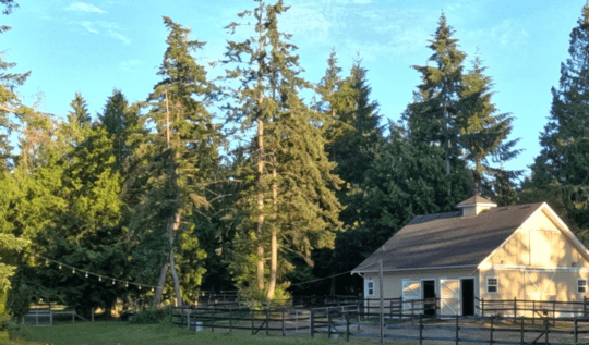 Acreages for Sale in Nanaimo